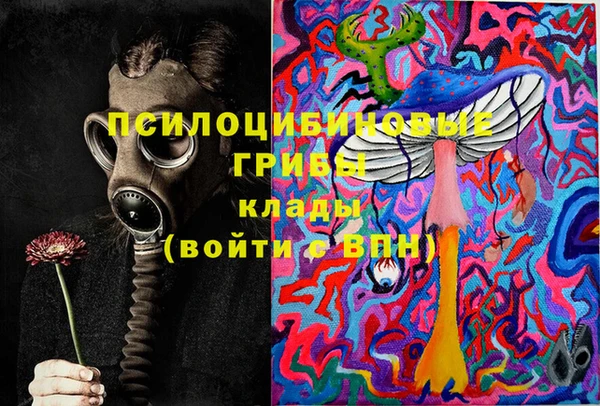 прущие грибы Баксан